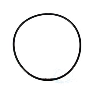Pentair Tank Body O-Ring for Clean and Clear Predator Warrior Filters | 87300400 87300400Z