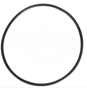 Pentair O-Ring for Seal Plate | U9-373 U9-373Z