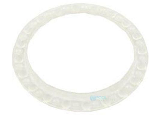 PENTAIR K12087 SWIVEL BEARING WASHER