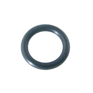 Pentair Drain Plug O-Ring 1/16"x1/2" | 192115 192115Z