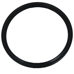 Pentair Challenger, Pinnacle, SuperFlo, SuperMax Diffuser O-ring | 355030 355030Z