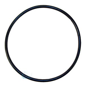 Pentair Whisperflo Intelliflo Diffuser O-Ring | 355227 355227Z