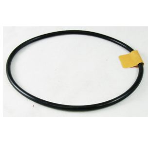 Pentair O-Ring for SuperFlo Pump Lid | 357255 357255Z