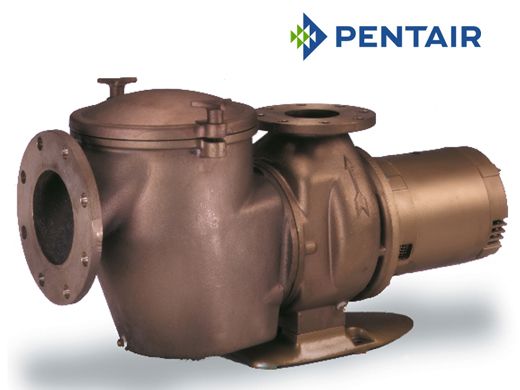 Pentair C-Series Commercial Bronze Pump with Strainer | 10HP Single Phase 230V |  CH-100 347963