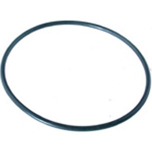 Pentair Housing O-Ring for Predator II, Dynamic, Leaf Traps, High Capacity Feeders | R172223