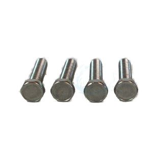 PENTAIR U30-542SS CAPSCREW #8-32x7/8"