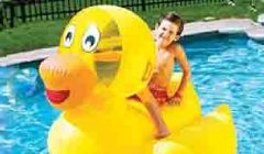Giant Inflatable Ride On Ducky | 9062