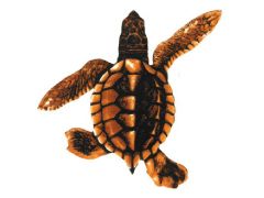 Baby Turtle B - Brown 5"X5" PORC-ST21B-BR