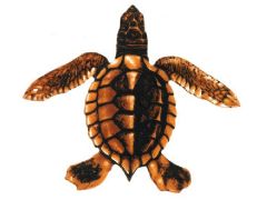 Baby Turtle C - Brown 5"x5 Porc-St22c-Br