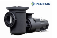 Pentair EQK 750 Commercial Plastic Pool Pump with Strainer | 6" Suction x 4" Discharge | Three-Phase | 340033