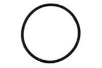 SuperPro Diffuser O-Ring for Pentair Pump 355331 | O-421-9