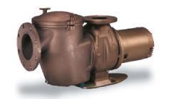 Pentair C-Series Commercial Bronze Pump with Strainer | 7.5HP Single Phase 230V |  CM-75 347917