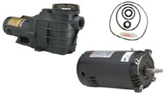 Hayward Super II Pump | GO-KIT2-9