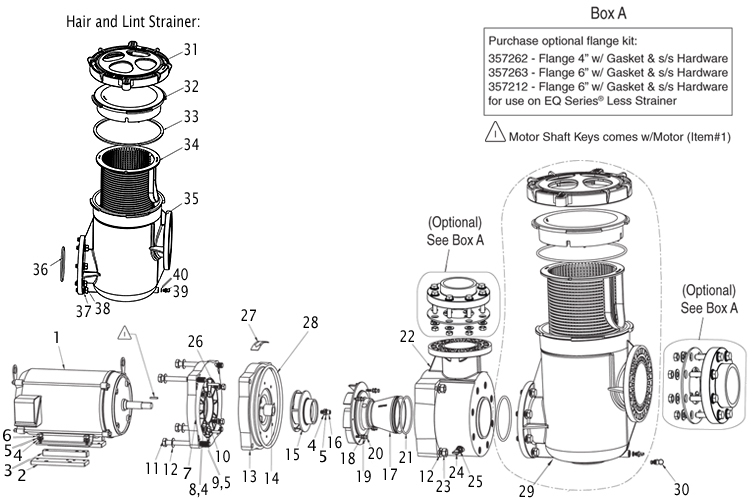 Pentair EQ 500 Commercial Pool Pump with Strainer 10HP  - 6" Suction x 4" Discharge | Single Phase | 340238 Parts Schematic