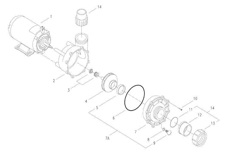 GECKO 06130395-2040 PUMP 3HP 2SP 230V XP2 Parts Schematic