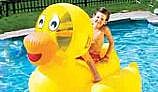 Giant Inflatable Ride On Ducky | 9062
