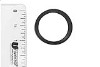 Delta Ultraviolet Sealing O-Ring | 44-02018