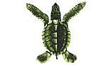 PORC-ST20A BABY TURTLE - A 5"x5"