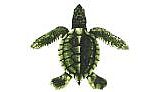 PORC-ST22C BABY TURTLE - C 5"x5"