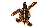 Baby Turtle B - Brown 5"X5" PORC-ST21B-BR