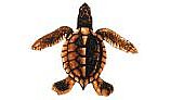 Baby Turtle C - Brown 5"x5 Porc-St22c-Br
