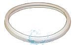 Pentair American Productus AmerLite AmerQuartz Pool Light OEM Gasket for 8-3/8" Lens | 79101600z