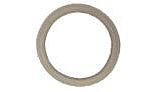 Pentair Gasket for 4" Diameter Lens | 79108500 79108500Z