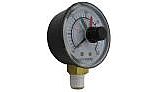 Hayward Pressure Gauge with Dial | ECX271261