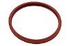 J&J Guardian Silicone Lens Gasket for American Products & Pentair Pool Lights | LPL-G-P