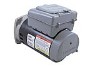 AO Smith E-Plus Centurion Two Speed Motor 1.25HP 230V Square Flange | B2980T