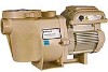 Pentair WhisperFlo VST 2.6 THP Variable Speed Pool Pump | 115-208-230V | 011533