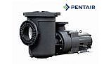 Pentair EQ 500 Commercial Pool Pump with Strainer 5HP  - 6" Suction x 4" Discharge | Single Phase | 340030