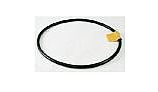 Pentair O-Ring for SuperFlo Pump Lid | 357255 357255Z