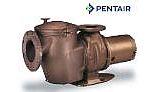 Pentair C-Series Commercial Bronze Pump with Strainer | 10HP Single Phase 230V |  CH-100 347963