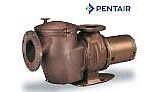 Pentair C-Series Commercial Bronze Pump with Strainer | 5HP Single Phase 230V |  CM-50 011651 011589