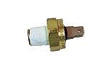 Pentair MasterTemp & Sta-Rite Max-E-Therm High Limit Switch | 42001-0063S