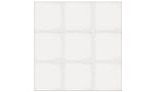 National Pool Tile Unglazed Series Pool Tile | White 2x2 | AOA132x2