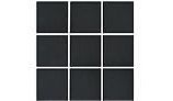 National Pool Tile Unglazed Series Pool Tile | Raven Black 2x2 | AOA342x2