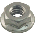 Raypak Flange Nut Kit 1/4"-20 | 008259F