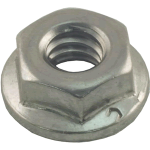Raypak Flange Nut Kit 1/4"-20 | 008259F