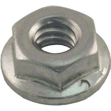 Raypak Flange Nut Kit 1/4"-20 | 008259F