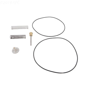 Raypak 016194F genuine OEM bypass valve assembly kit