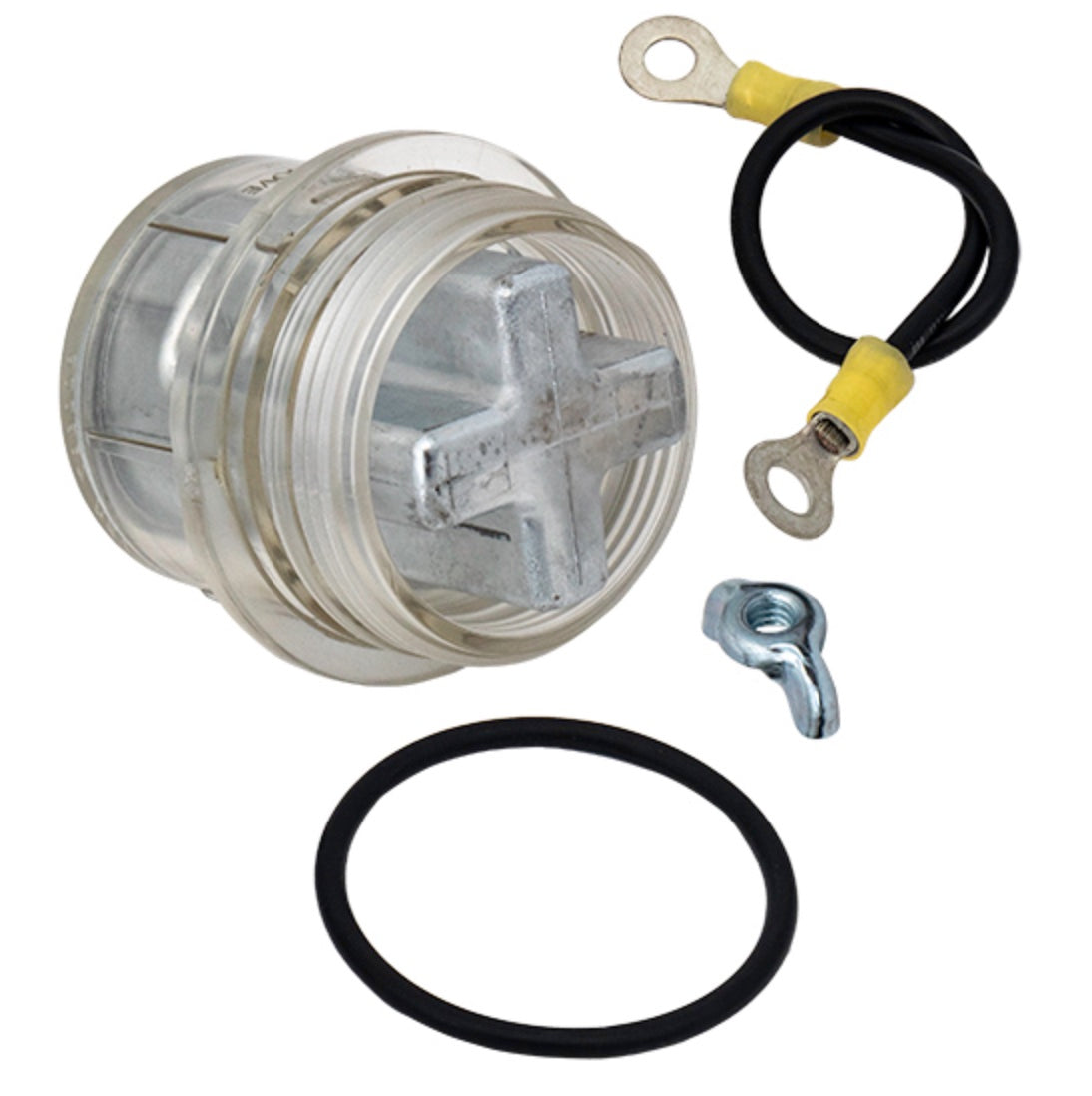 Raypak 017960F Protek Shield module assembly, second view