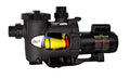 Zodiac Jandy MaxHP Uprated Pump | 1.0HP 115V/230V | MHPM1.0