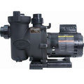 Jandy FHPM1.0-2 one horsepower two speed medium head pool pump