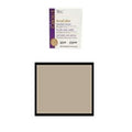 Clearwater Enviro Tech Nevada TEC AccuColor Sanded Grout Light Smoke 915 | 33-0099-3011