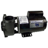 Waterway Executive 48 Frame | 2-Speed 2HP | 3420820-13