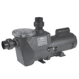 Waterway Champion-56-Frame | Standard Efficiency 2-Speed 2.5HP 230V | CHAMPS-225