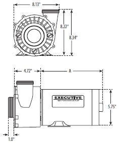 Waterway Executive 48 Frame 2-Speed 3HP 230V | 3421221-1A