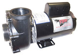 Waterway Viper 56 Frame 2-Speed 3HP 230V | 3721221-1T